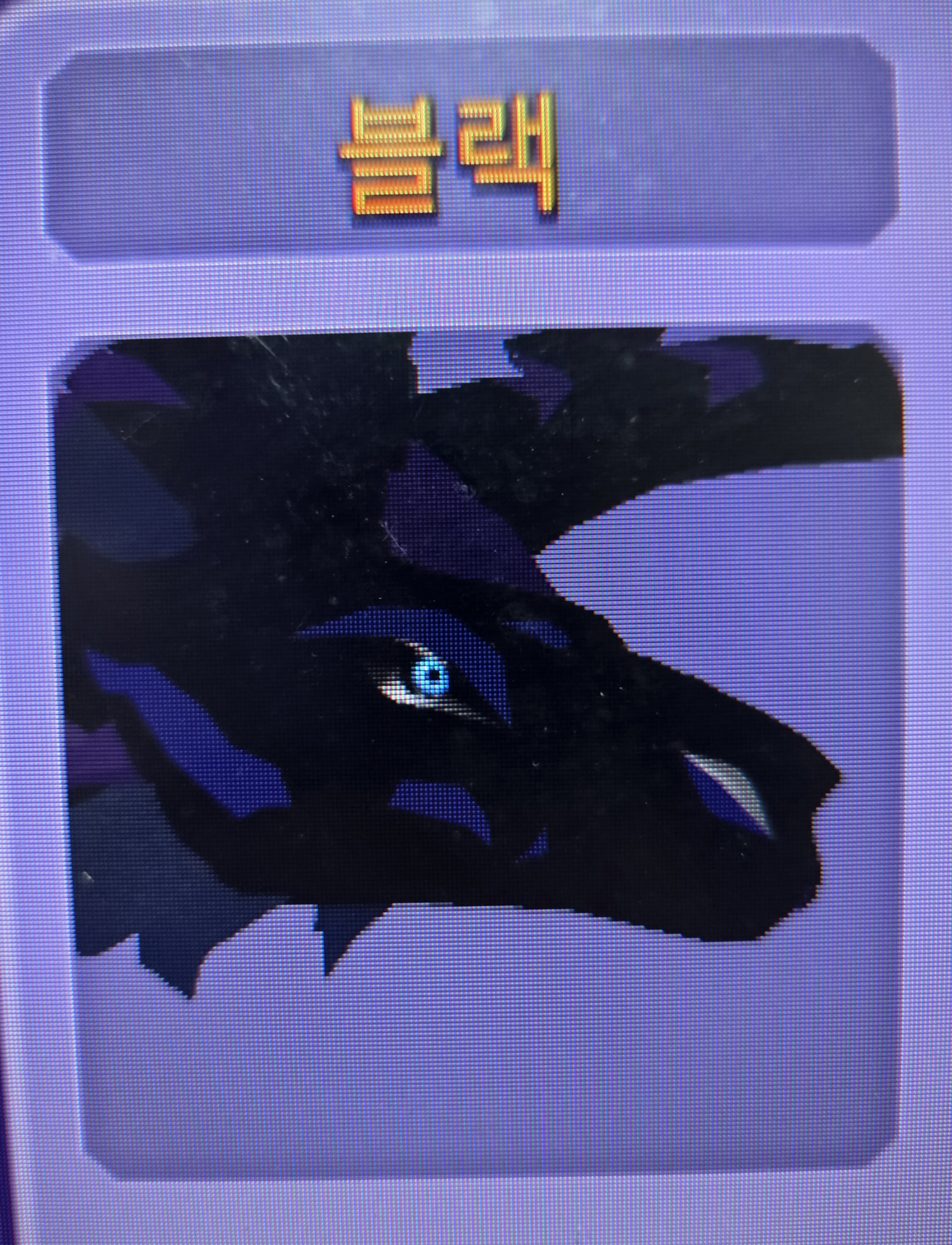 블랙