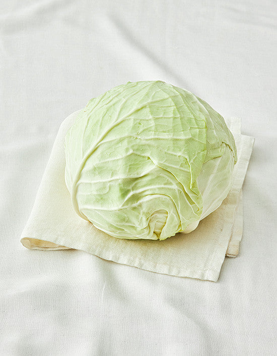 양배추