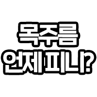 목주름 언제피니?