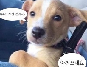 아무개 발로 티어표