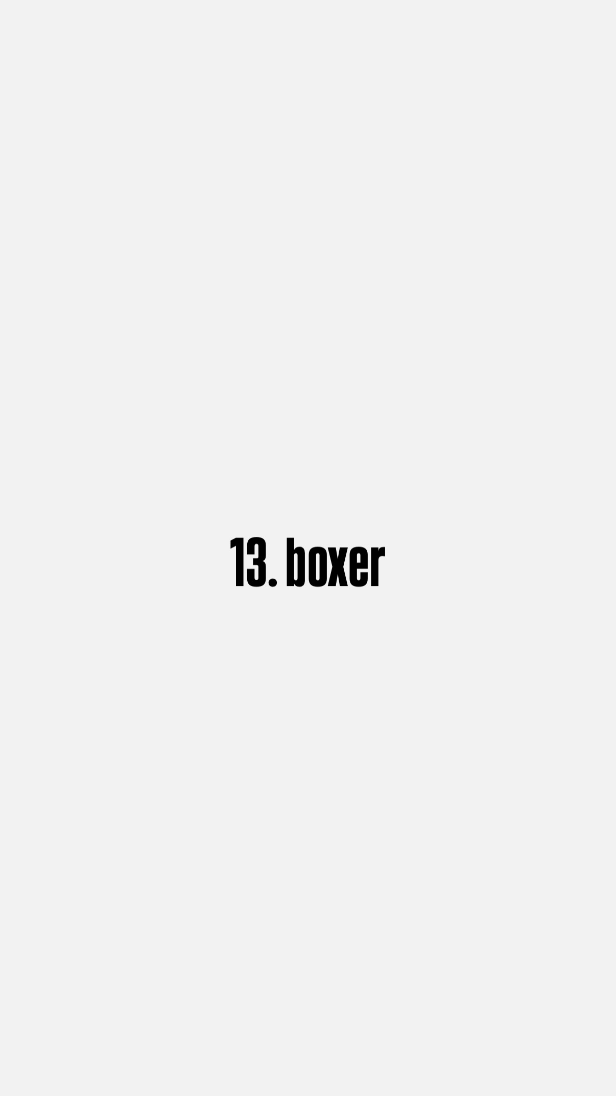 13. boxer