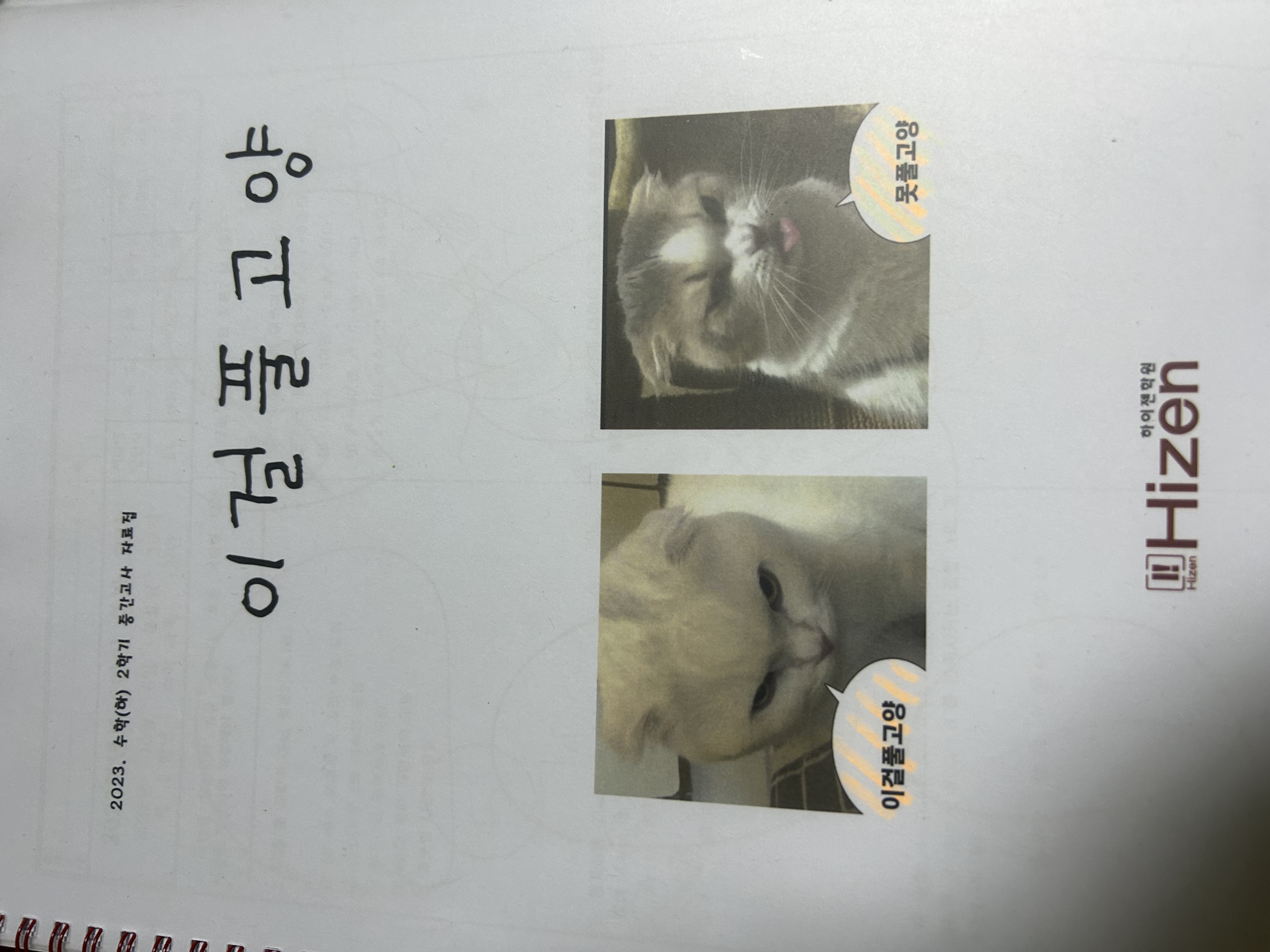 착함 순위