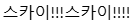 스카이!!!스카이!!!!