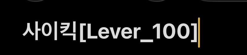 사이킥[Lever_100]