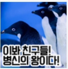 아랫동네 PVP 티어리스트