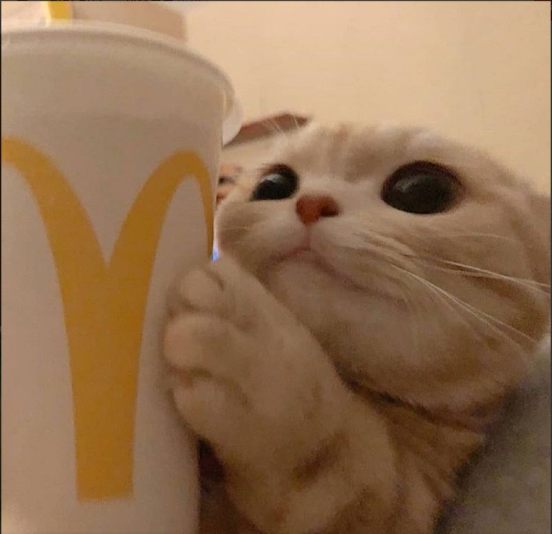 ㅅㅅ