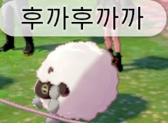 우르 울음소리 티어메이커