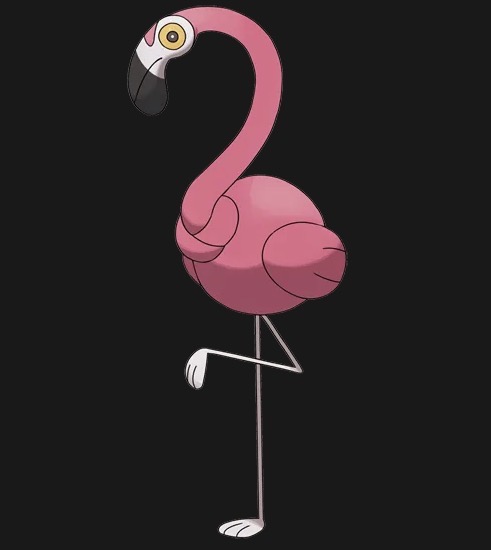 꼬이밍고