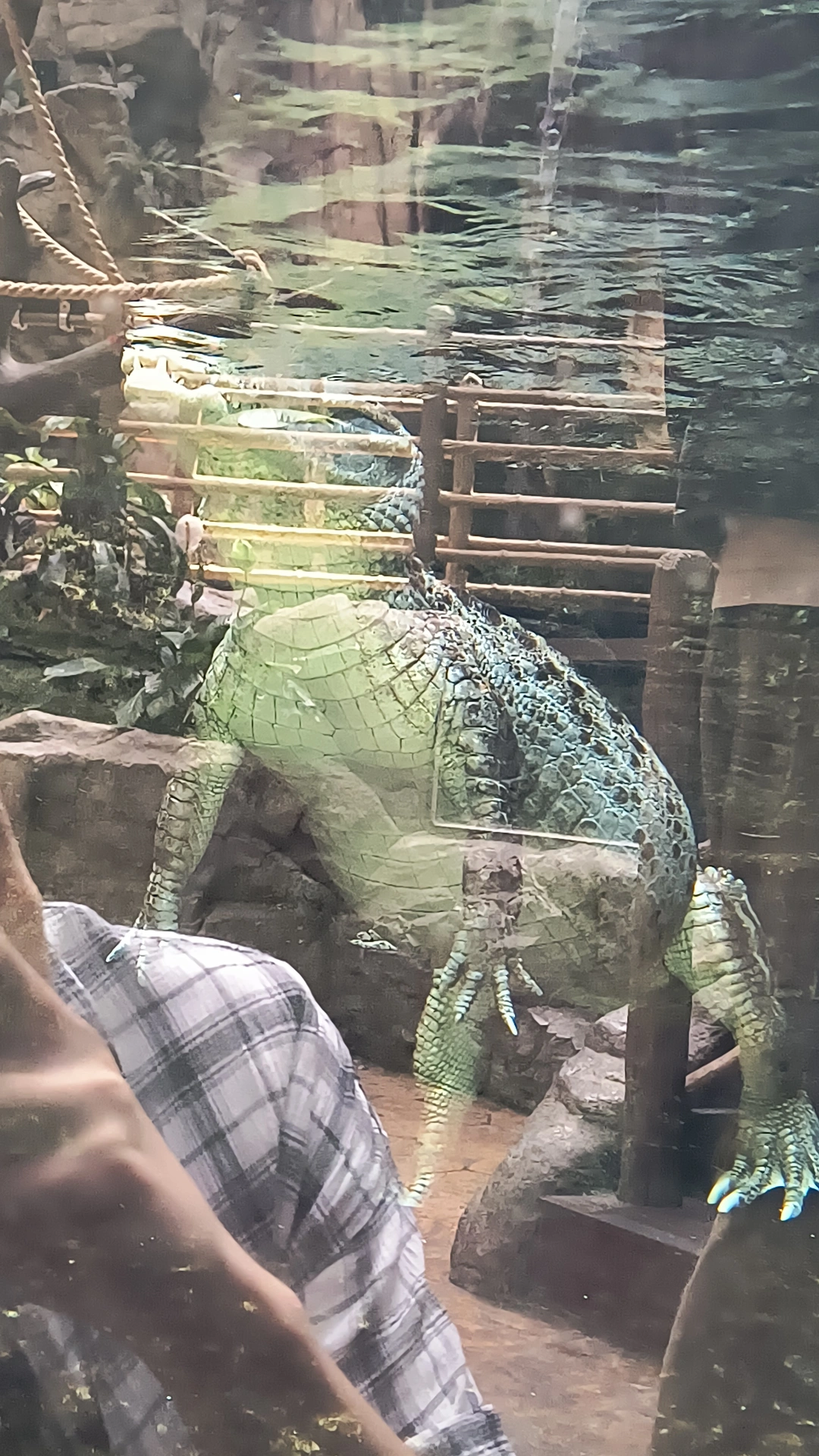 김선율