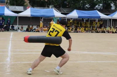 사우르스 티어리스트