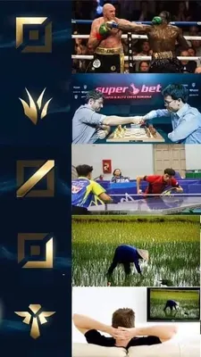 롤락실 상상이 잘 되지 않는 쳄프 월드컵