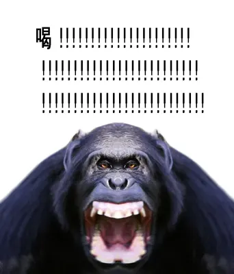 발로 티어