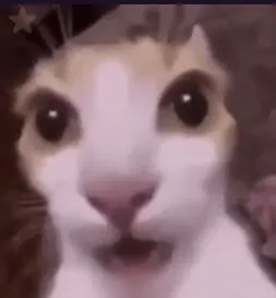 끼리끼리배 티어표