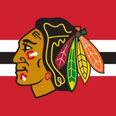 NHL 하키 팀