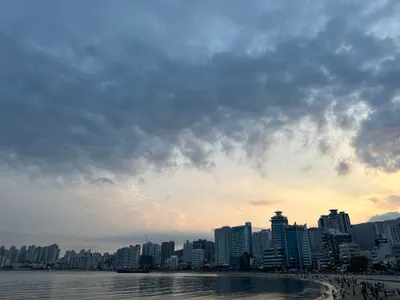 반안중 선생 티어