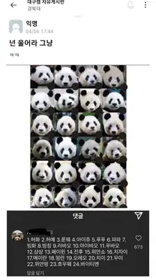 드래곤볼