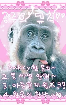 세라핌 사가 키우기 날개 티어표