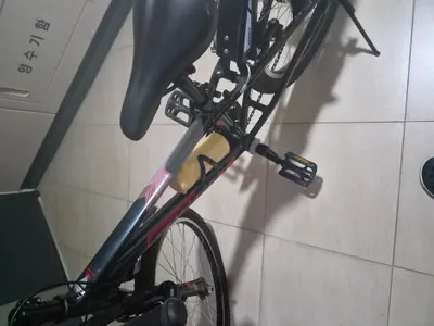 자전거 잘 타는 순위
