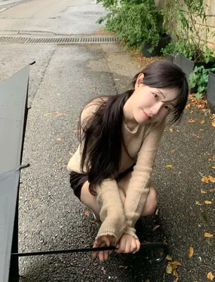 5ㄷ5 티어