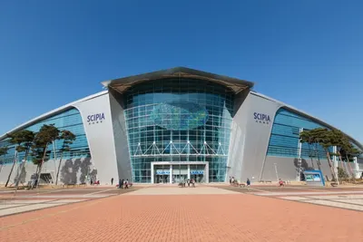 6학년 3반 즐거웠던 일 월드컵