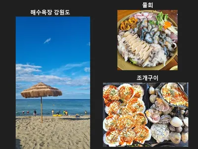 정솔과 어디를 같이 갈까