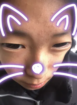 반 배정