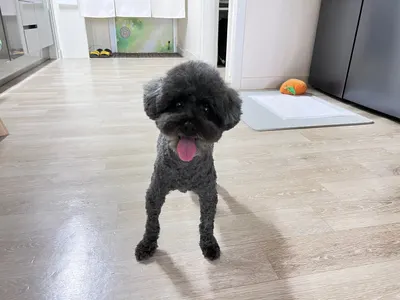 2025 하반기 일신중 고아리스트