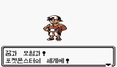 포켓몬스터 게임 플레이 유형 진단
