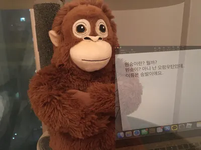 재생목록 순서