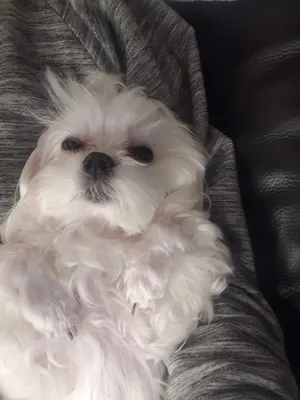 아랫동네 게이력
