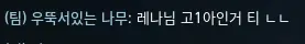 건전한 방송입니다