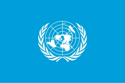 UN 회원국