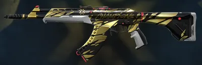 VALORANT skin