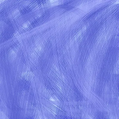 시험용