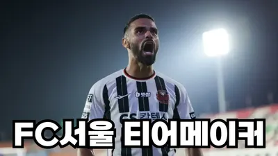 2025 FC서울 티어메이커