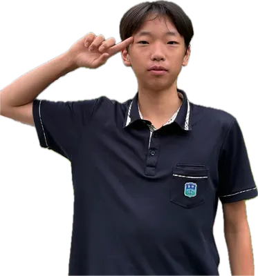 아이돌 티어