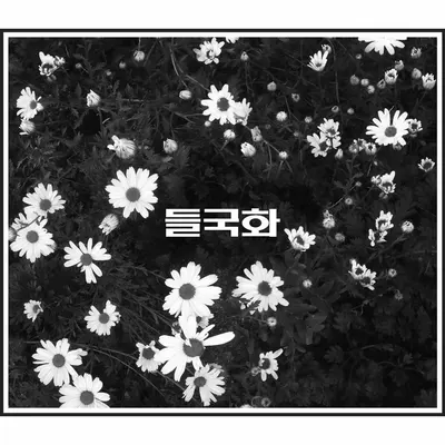 들국화 노래방 번호 (TJ)