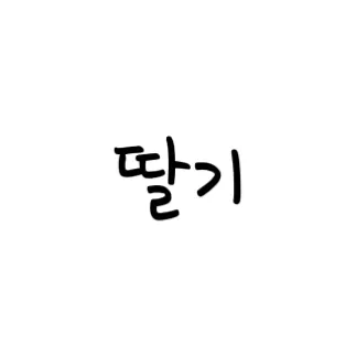 2026 히키 대표