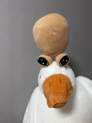 281712