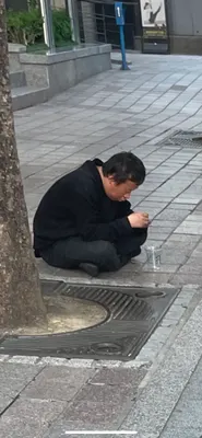 버러지 티어리스트