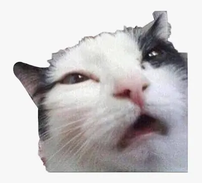 무야호 최고의 목소리