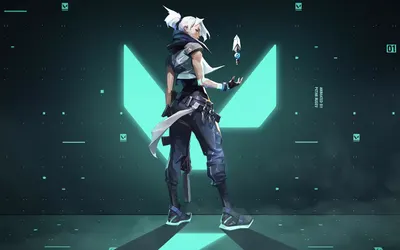 쇼티 스킨