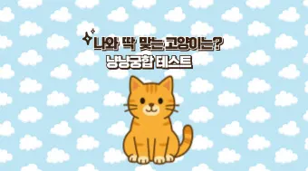 냥냥궁합 "나는 어떤 고양이와 잘맞을까?"