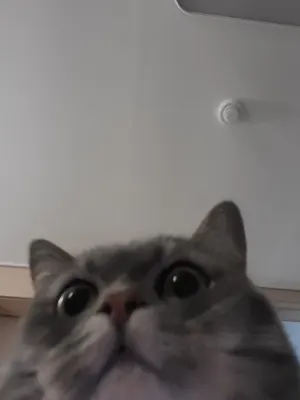 ,