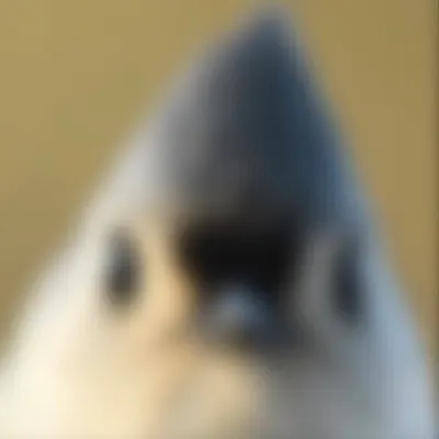 ㄱ