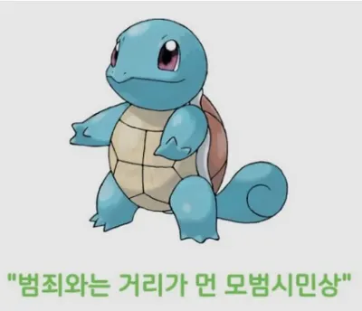 포켓몬 티어표