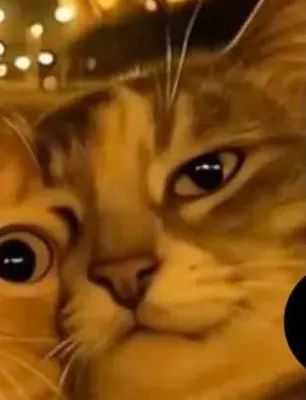 ㅇ