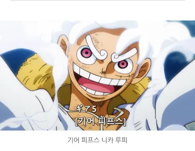 원피스 트레져 보이지 최신 티어표 2024