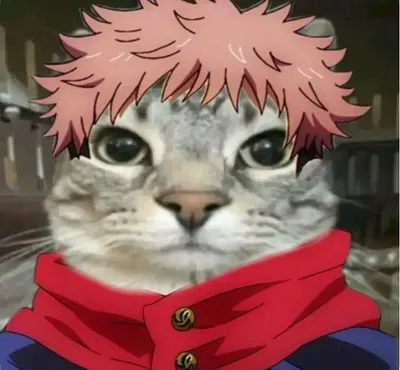 인기도게이