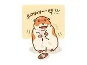 귀여운사진 티어